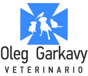 Logo Footer